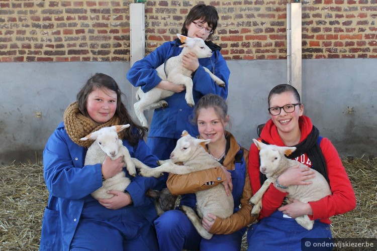 Onderwijskiezer